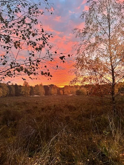 Mourir avant de mourir