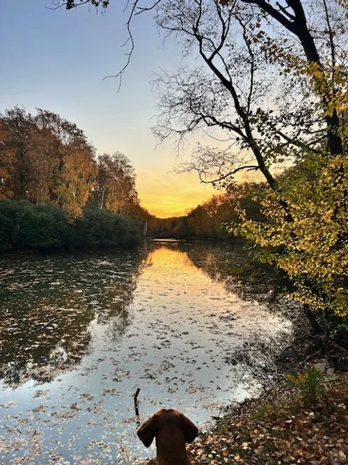 Des mots surgis du silence.