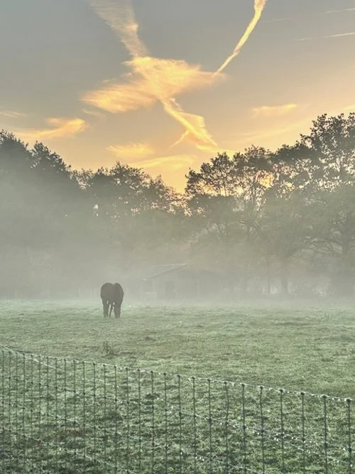 L'être n'est pas l'être.