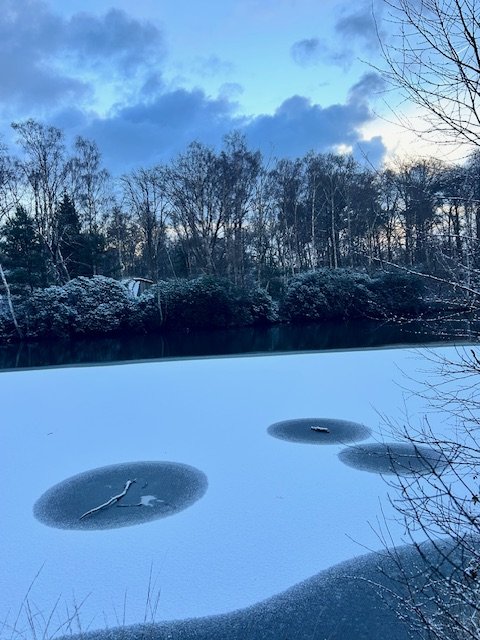 Woorden die naar stilte leiden.