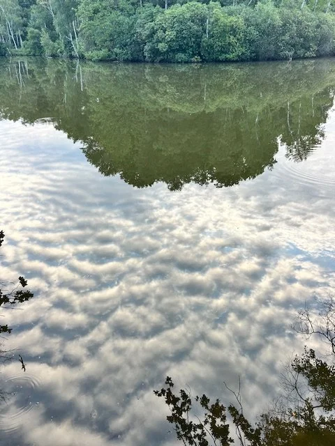 Bereid zijn om anders te denken