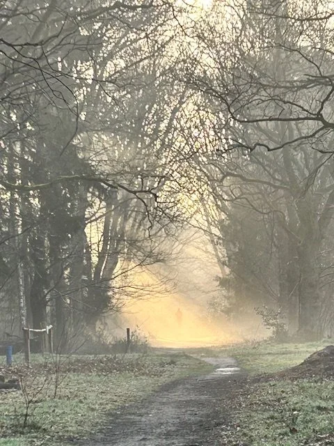 Geen lichaam meer nodig