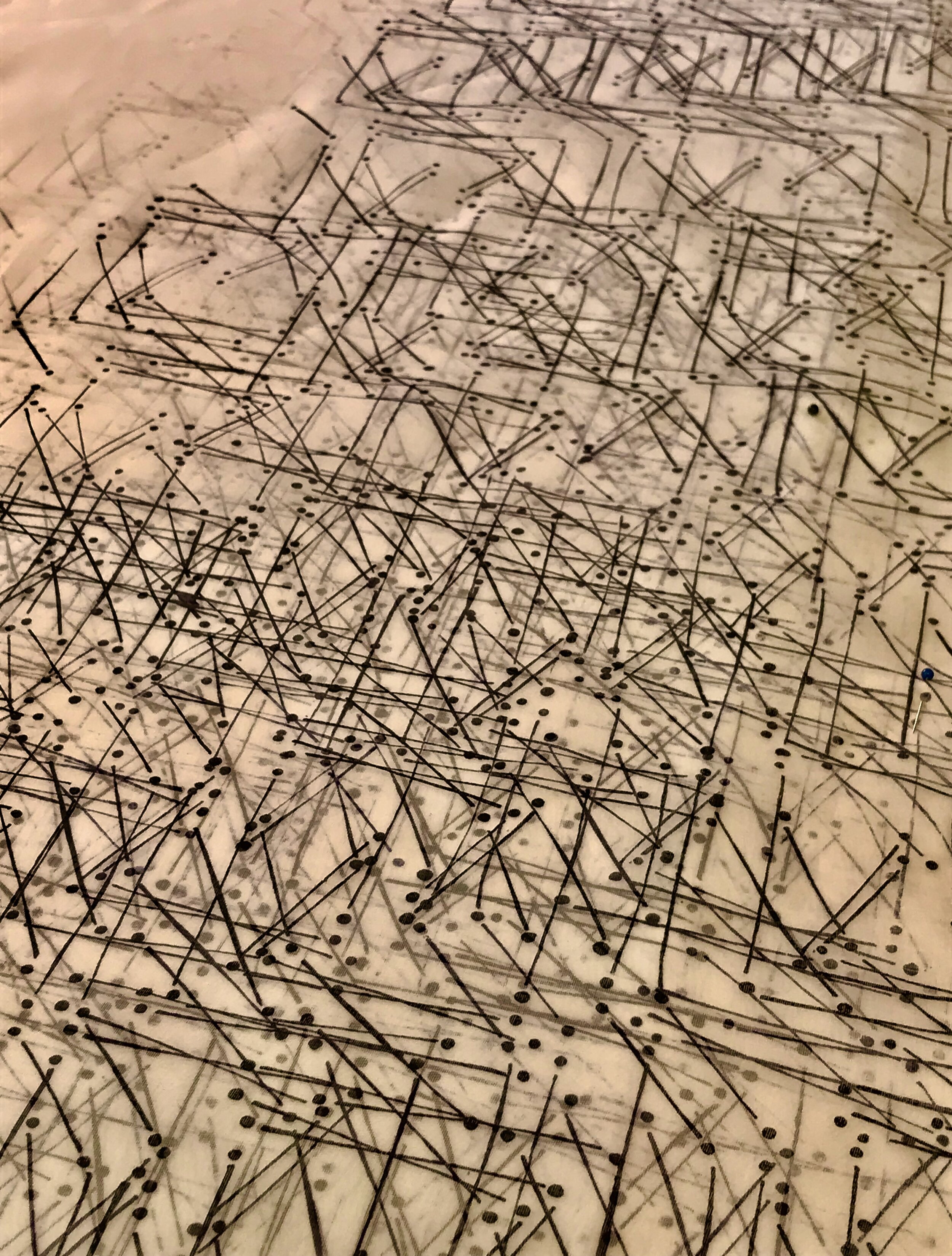 Patterns of Movement .jpeg