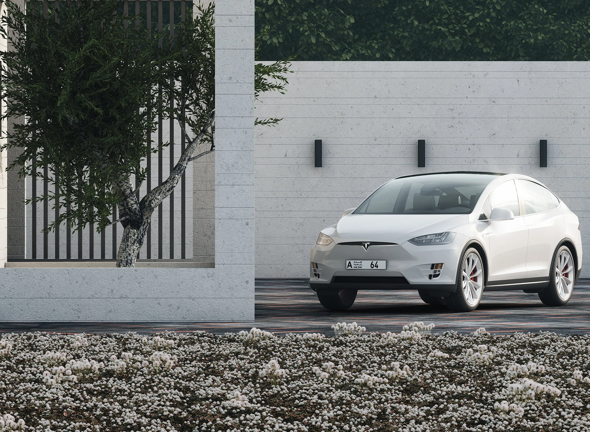 Car Entrance_beauty element-lo.jpg