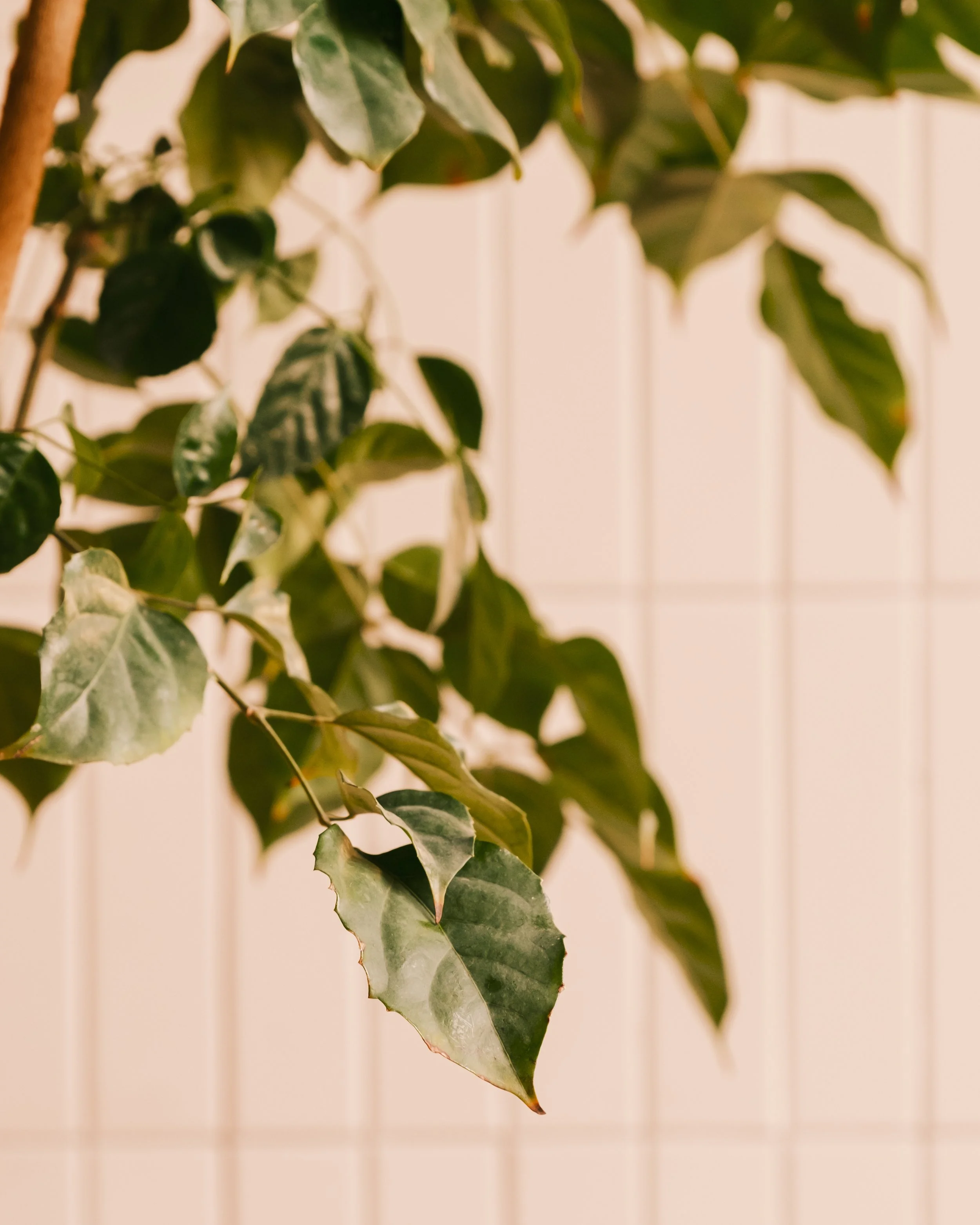 MILK INTERIOR-23.jpg