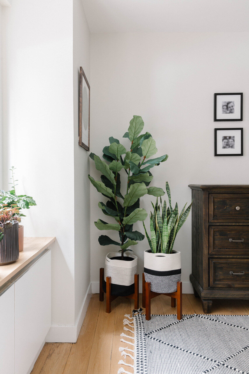 HOW TO INCORPORATE GREENERY INTO INTERIOR SPACES — Interior Collab.