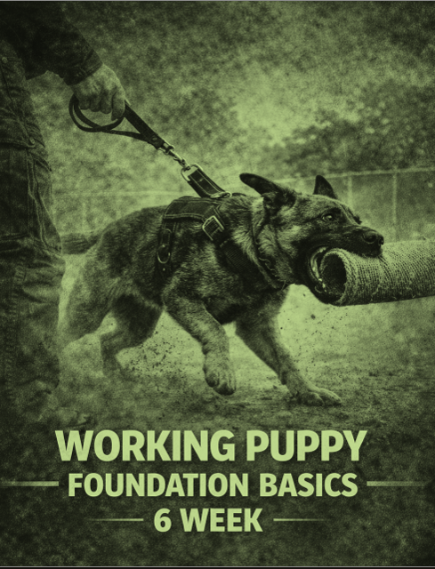 Working Puppy Foundation | 6 weeks COURSE MANUAL