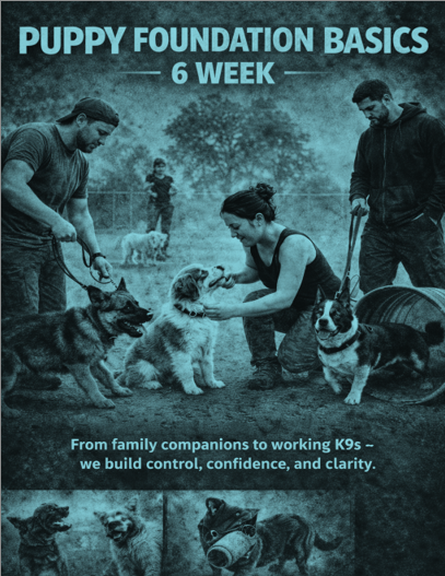 Puppy Foundation Basic 6 weeks (COURSE MANUAL)