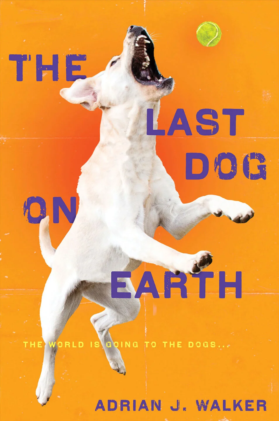 last-dog-on-earth.jpg