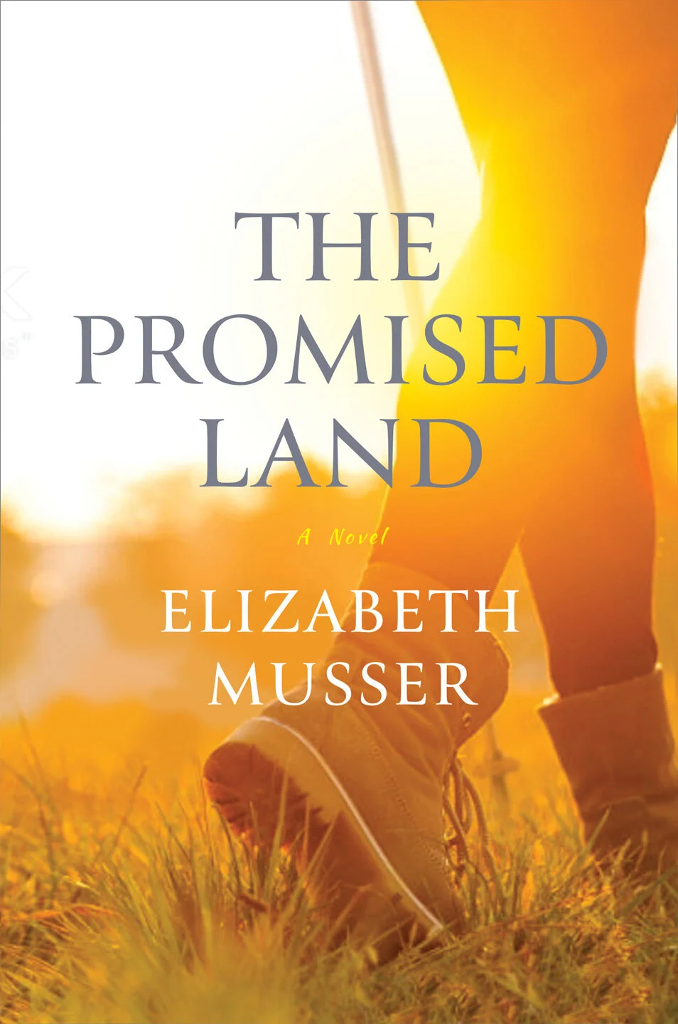 promised-land-1.jpg