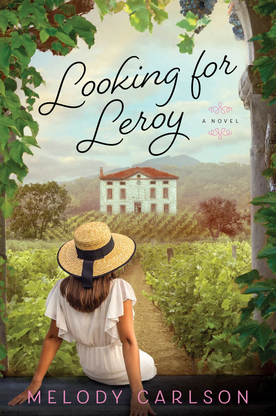looking-for-leroy.jpg
