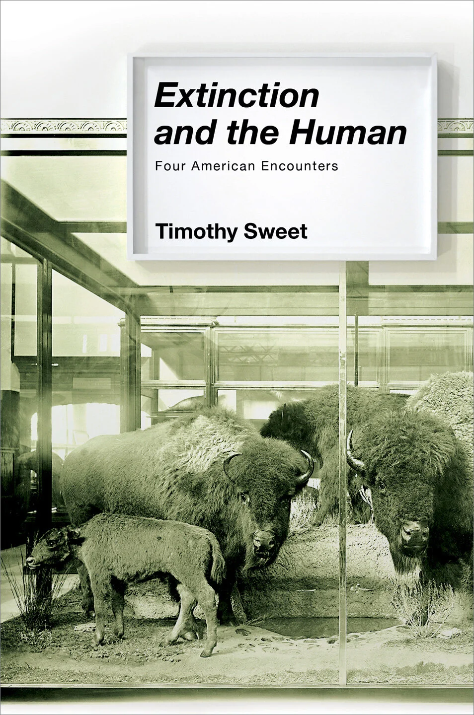 extinction-2.jpg