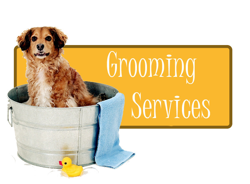 grooming.png