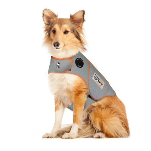 thundershirt for separation anxiety reddit