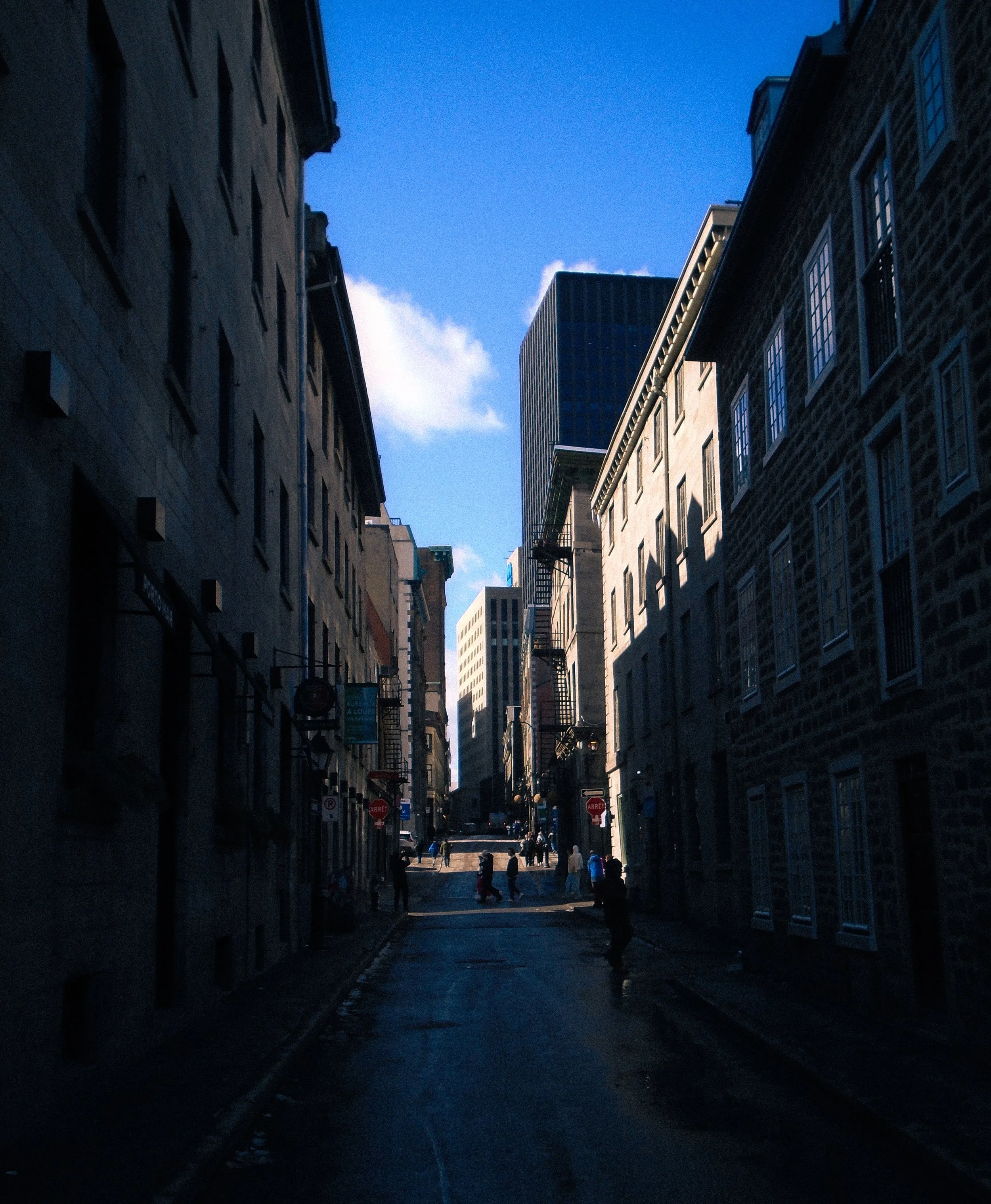 DSC03565.jpg