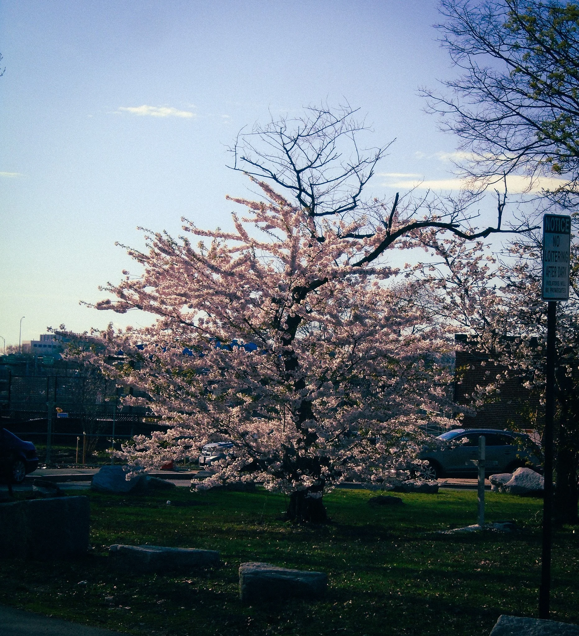 DSC03650.jpg