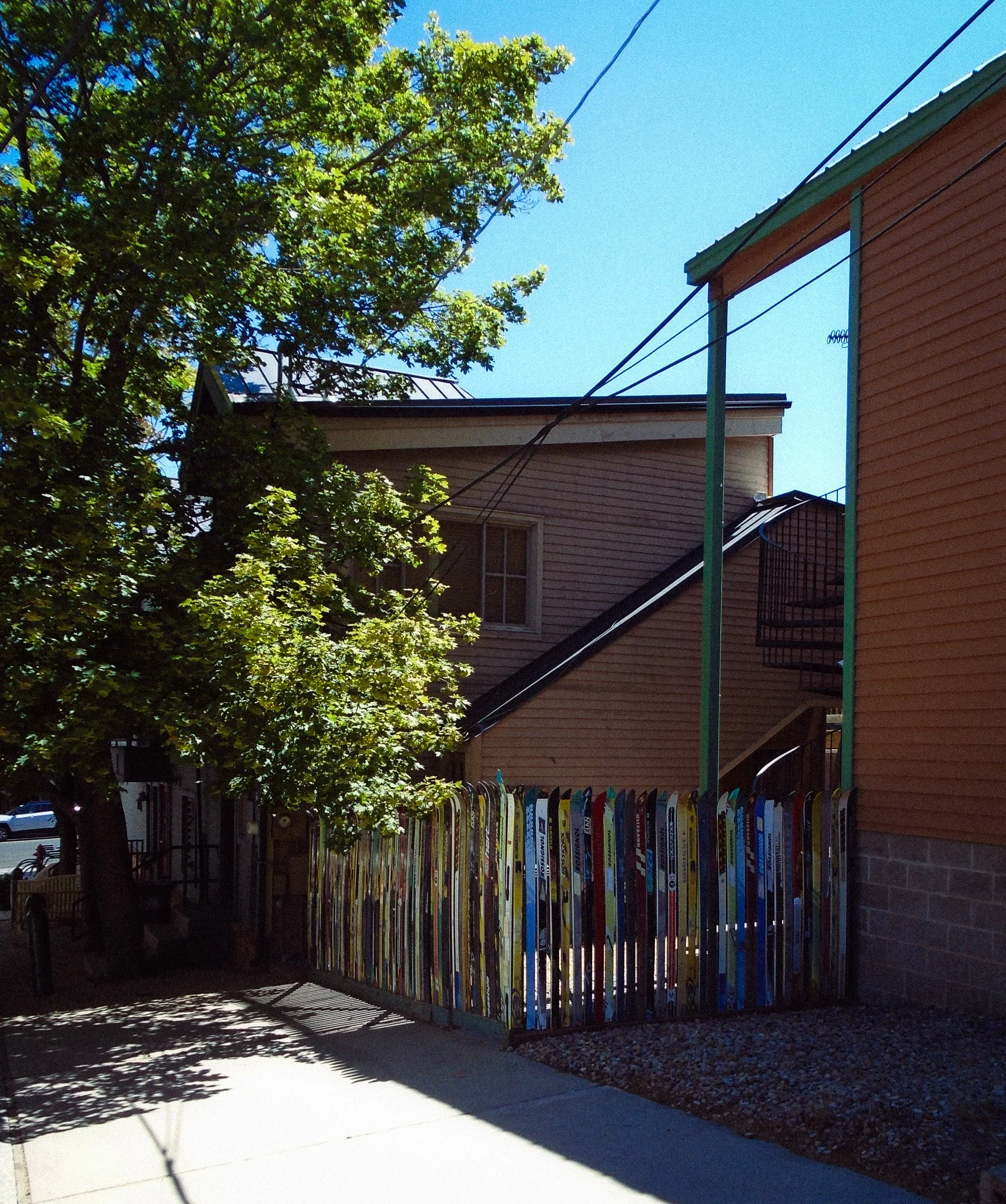 DSC02954.jpg