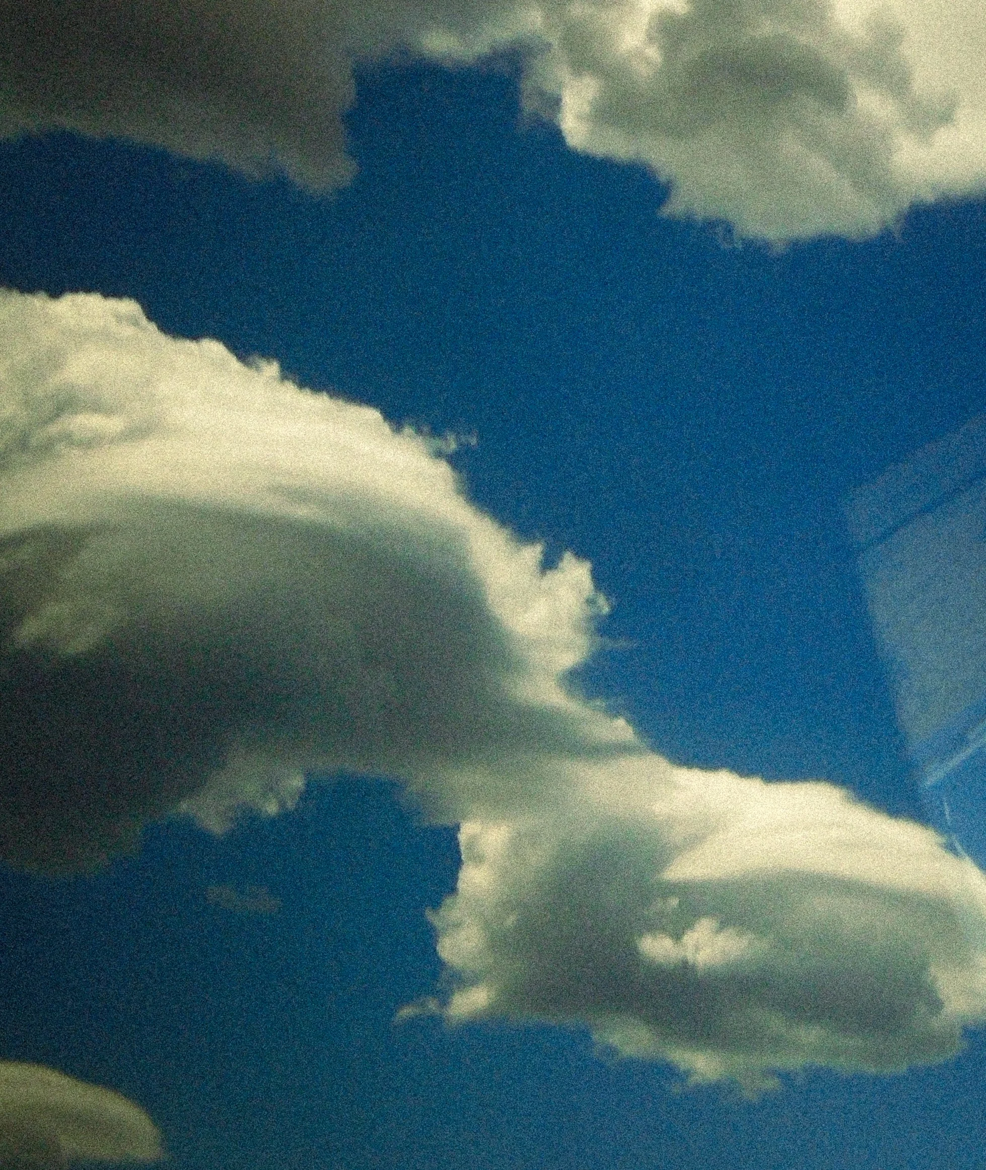 DSC03008.jpg