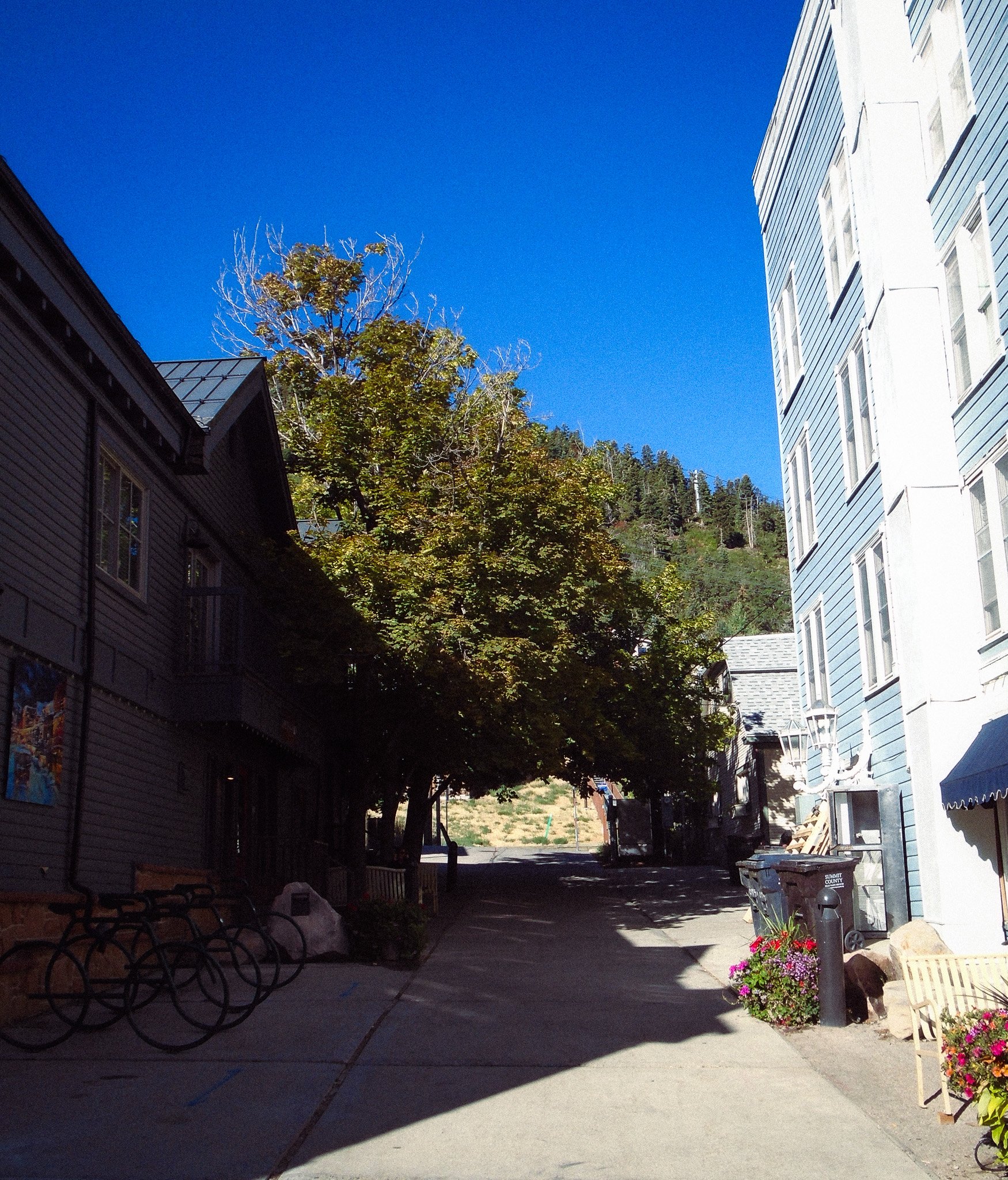 DSC02947.jpg