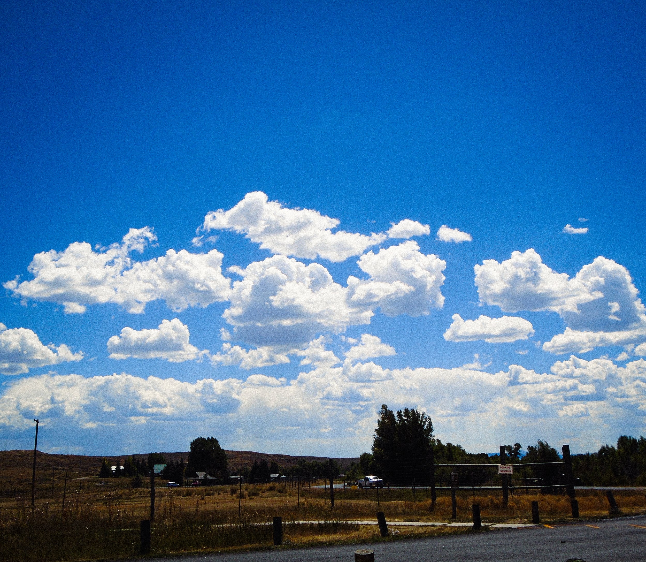 DSC02986.jpg