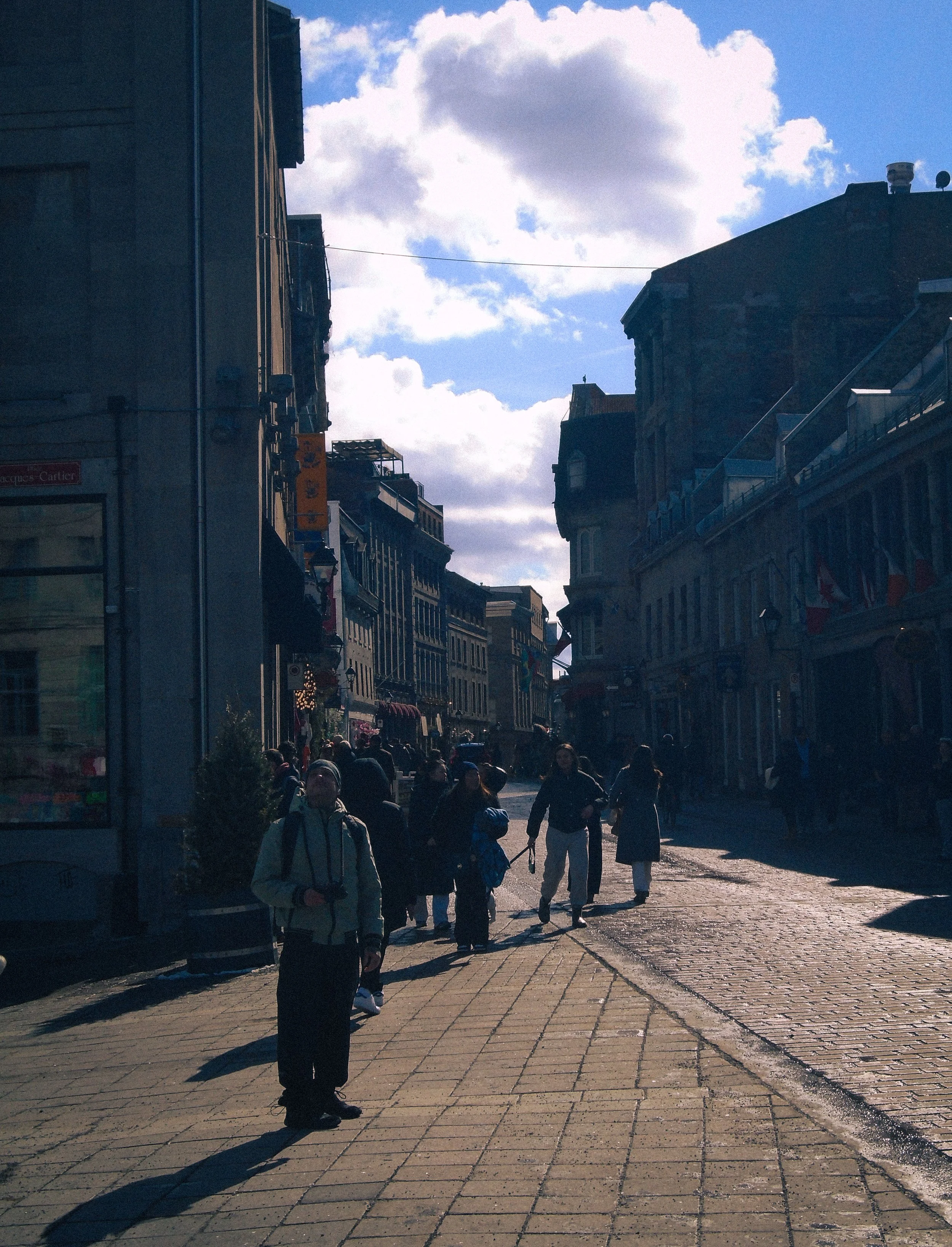 DSC03584.jpg