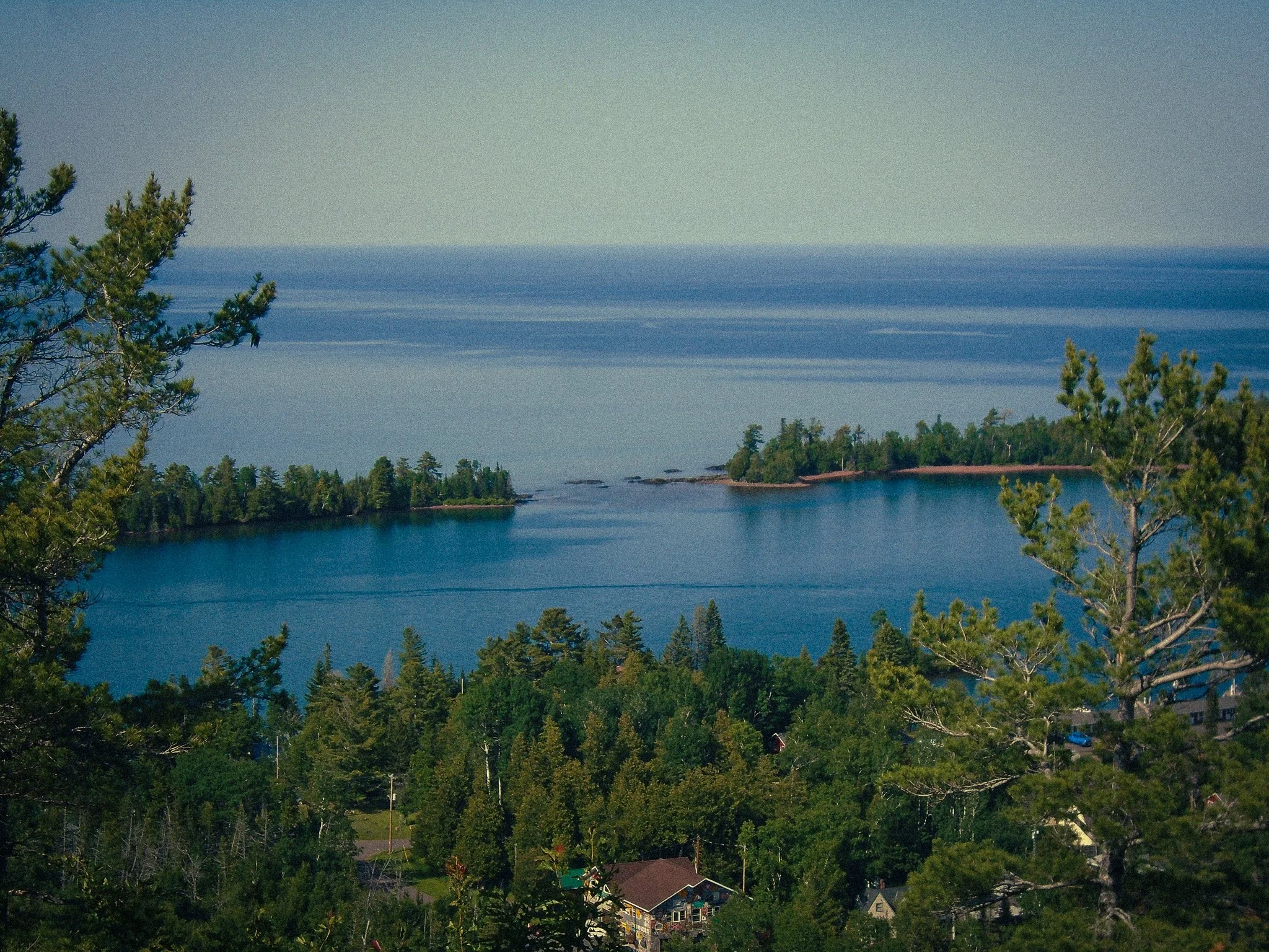 DSC02853.jpg