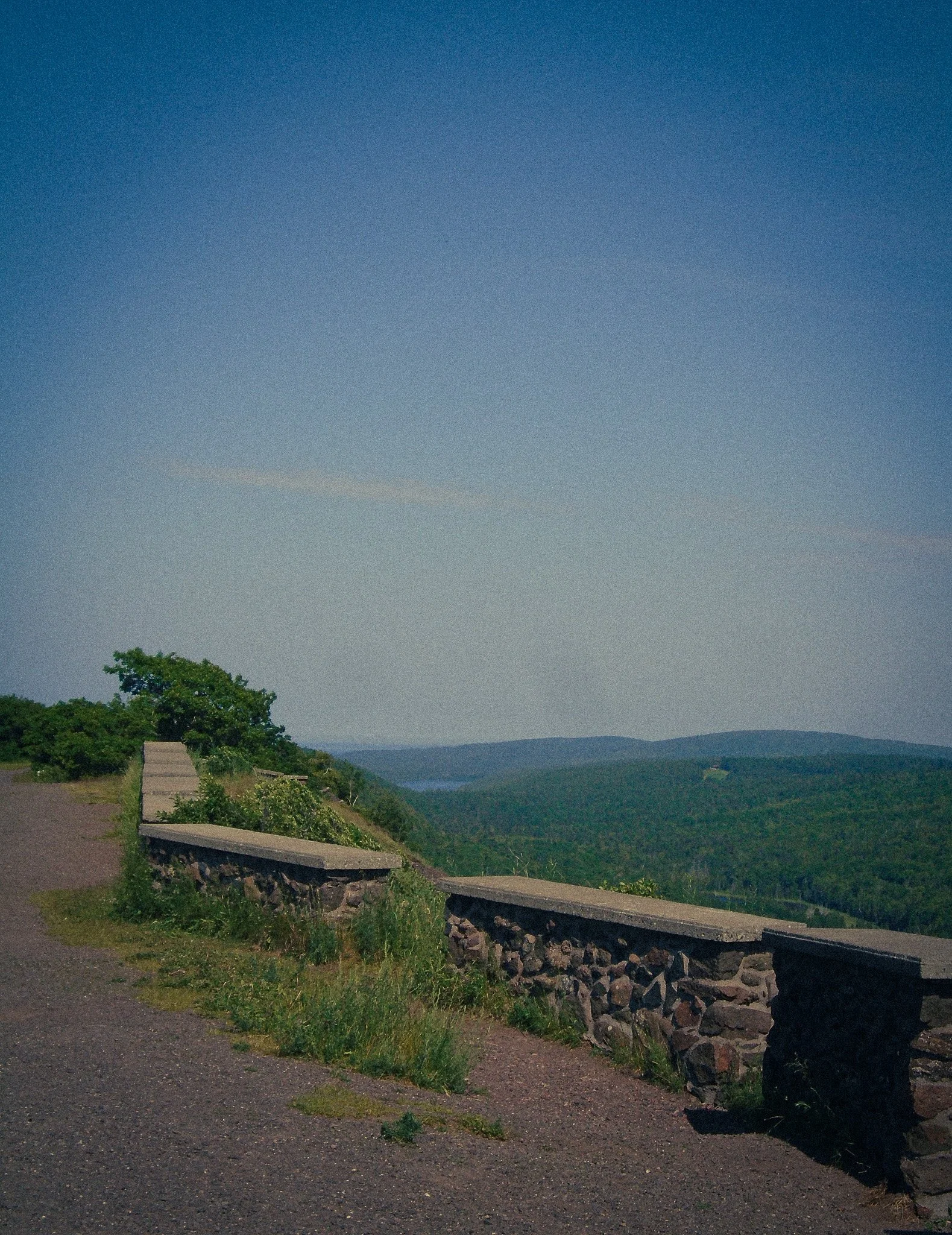 DSC02841.jpg
