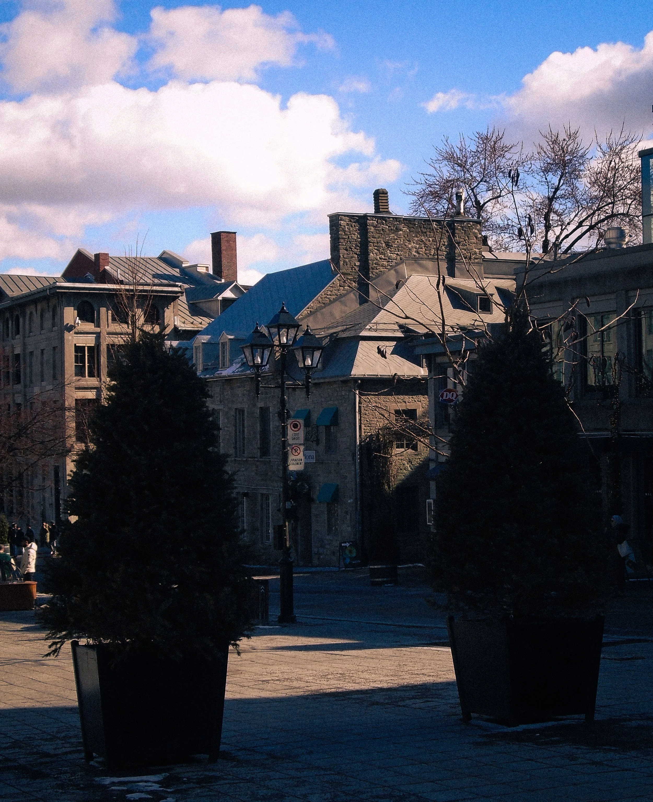 DSC03604.jpg