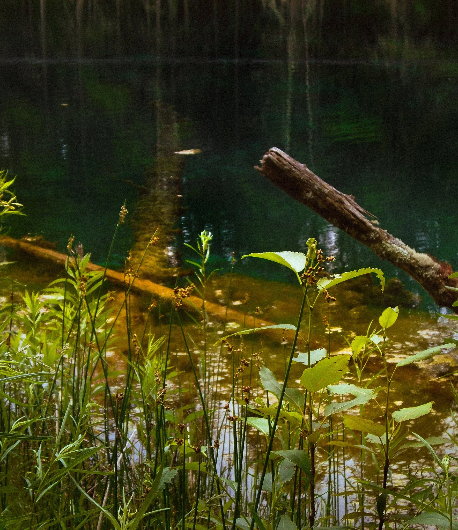 DSC02581.jpg