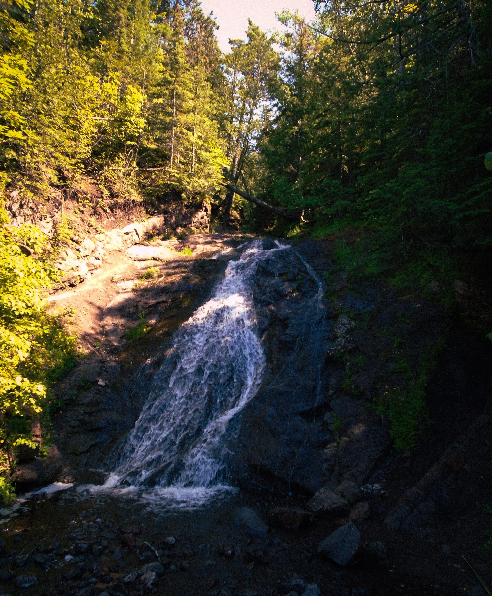 DSC02829.jpg