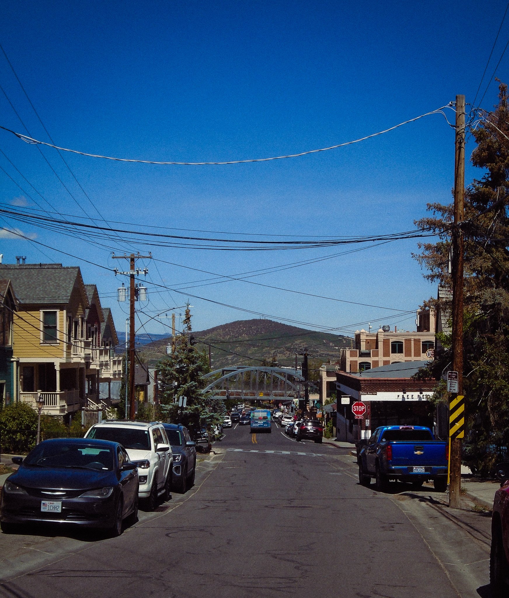 DSC02952.jpg