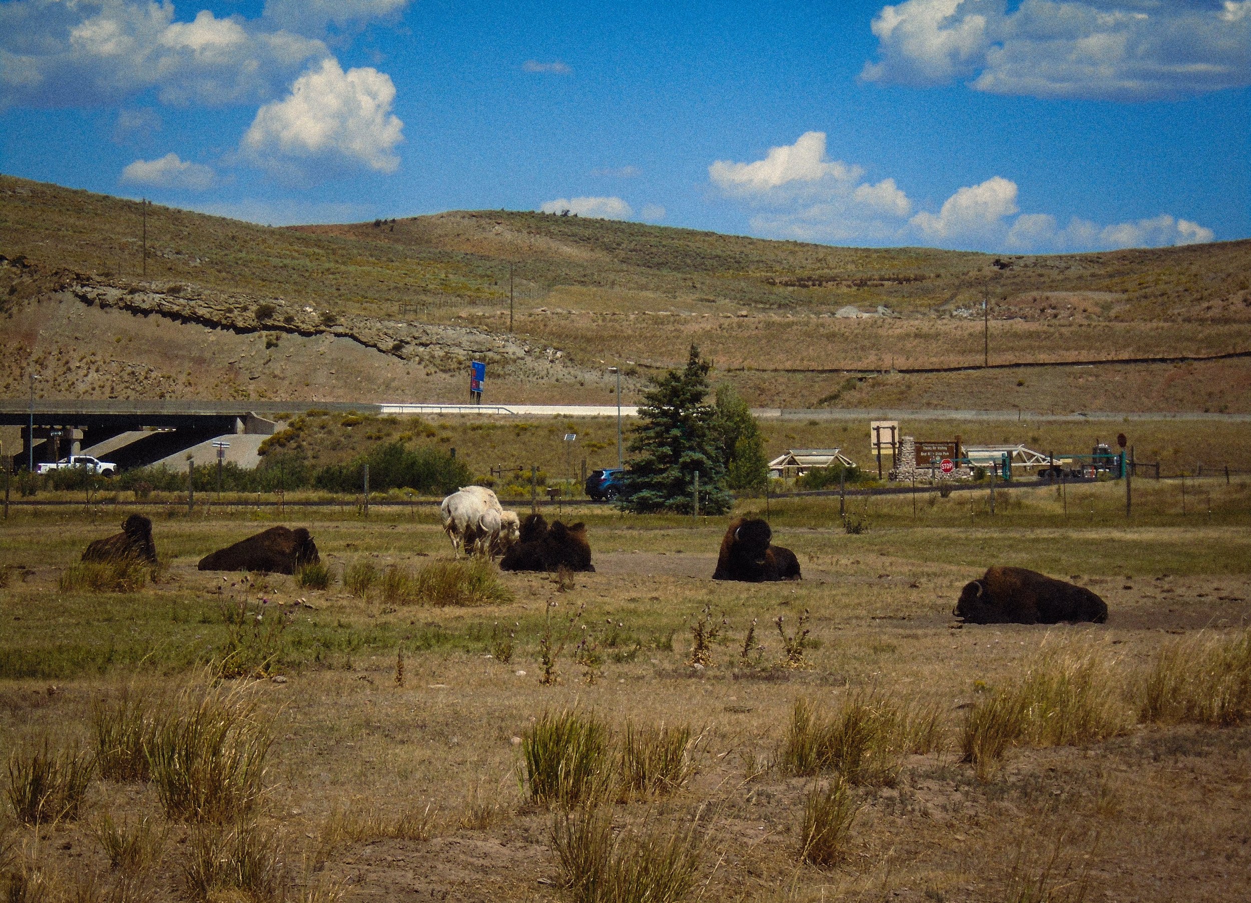 DSC02981.jpg