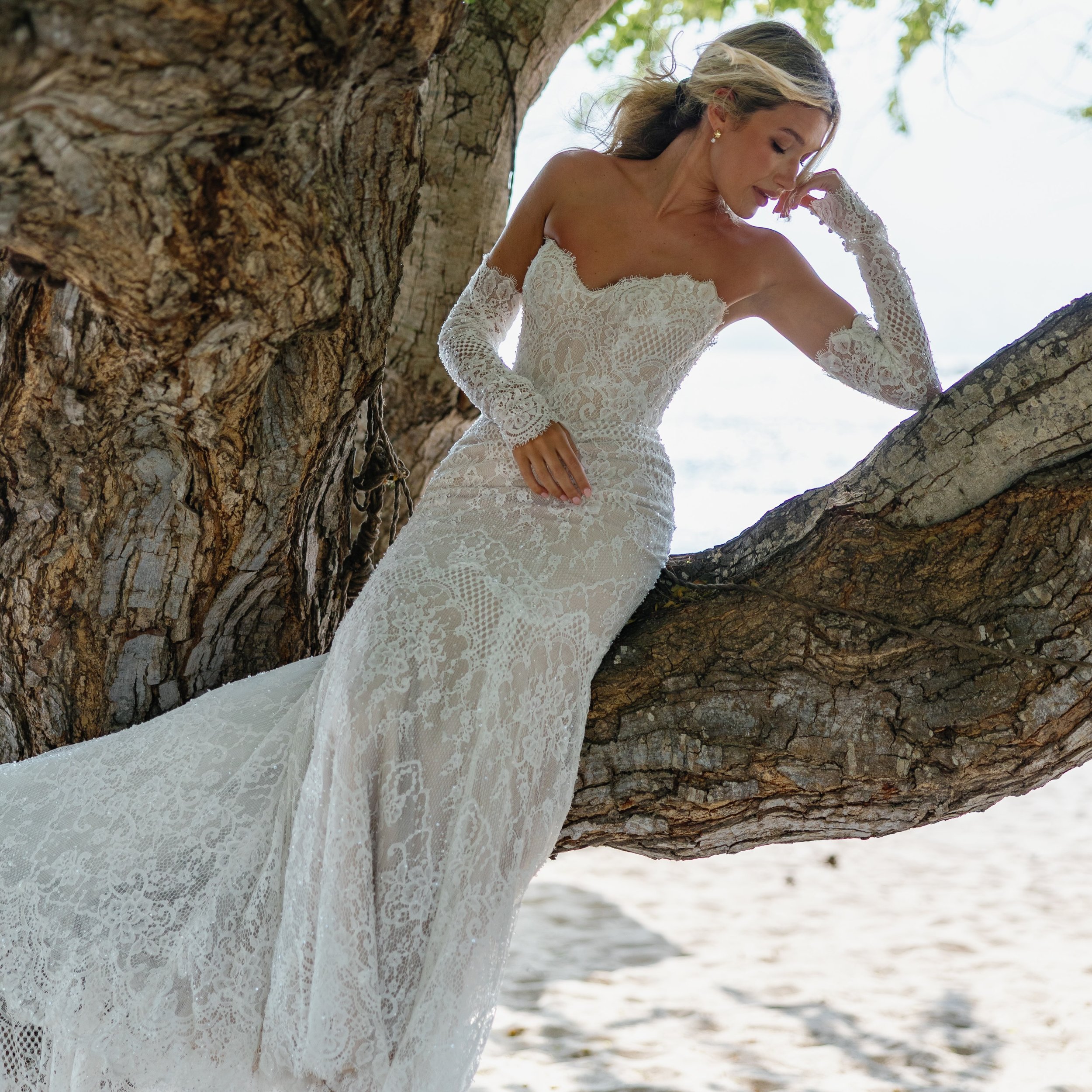 2027 brides this ones for you 

New arrivals in the studio 🤍

#laceweddingdress #newcollection #timelessweddingdress #modernbride