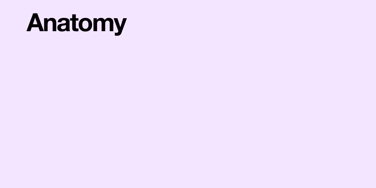 anatomy-of-growth-1.gif