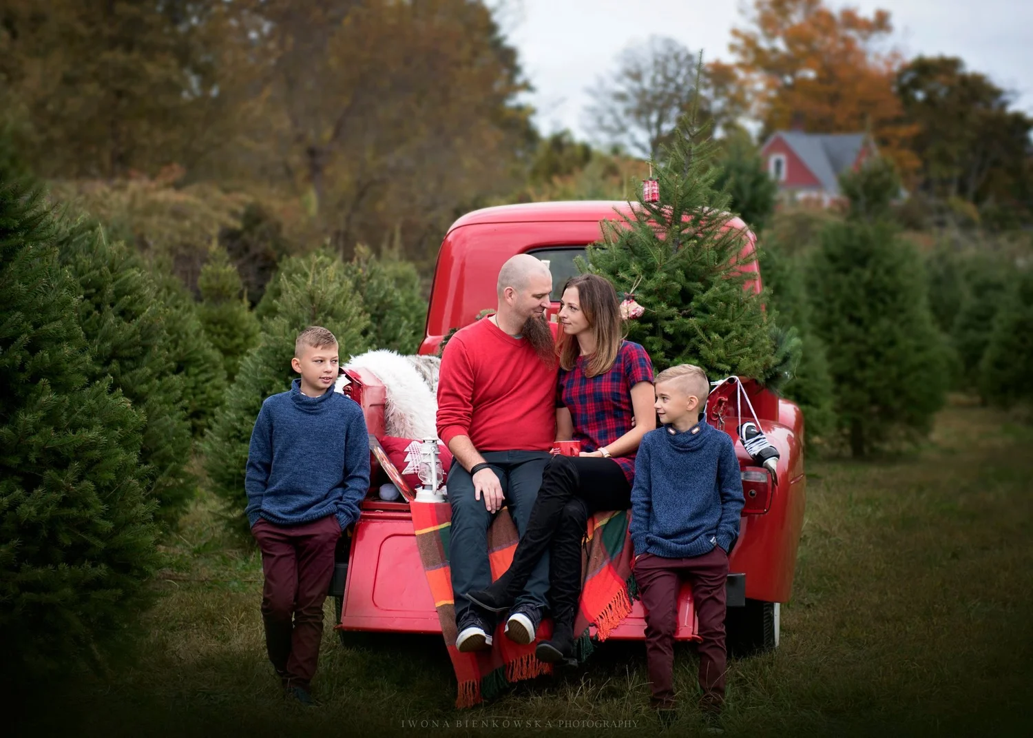 Cut your own Christmas Tree — Santa's Christmas Tree Farm LI