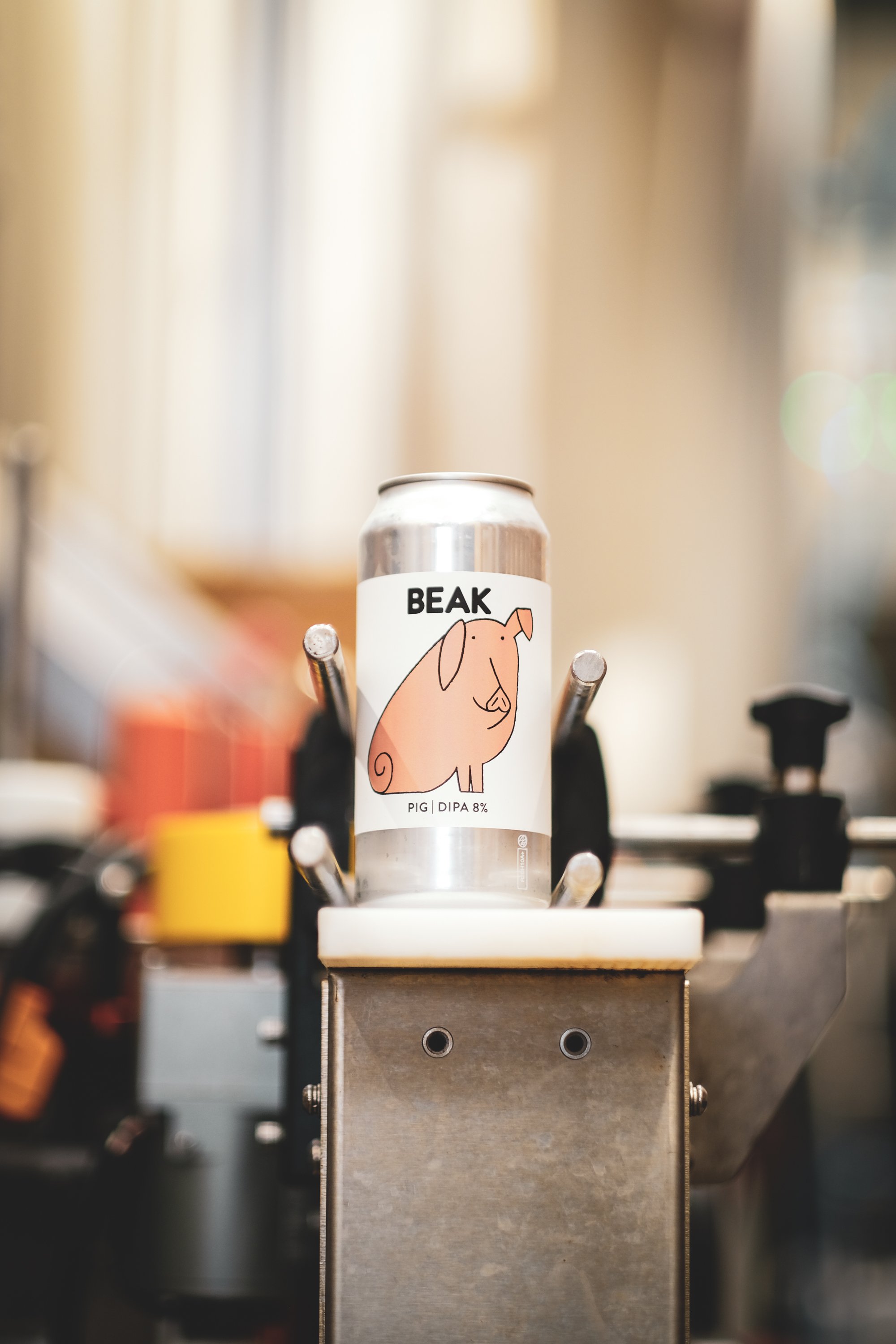 Beak-26.jpg