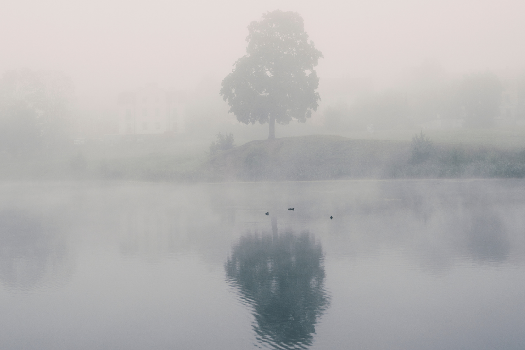 How Harm Becomes Systemic: Abuse in the Muslim Education Industrial Complex