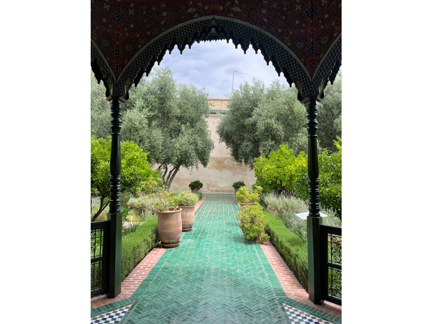 The Garden Between Us