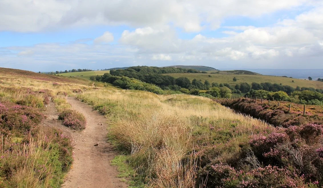 Quantock ridge with Wills Neck in distance