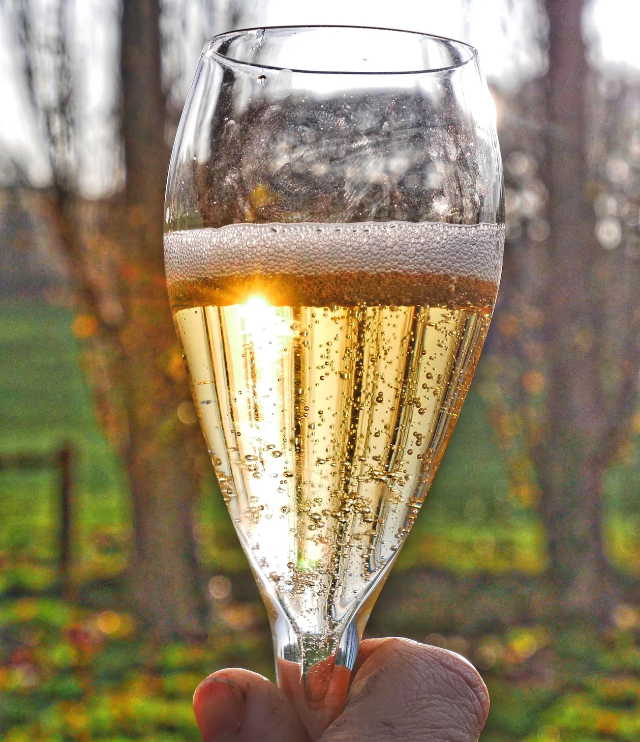 Perfect Bubbles for Christmas - New Wave of Bottle-Fermented Ciders