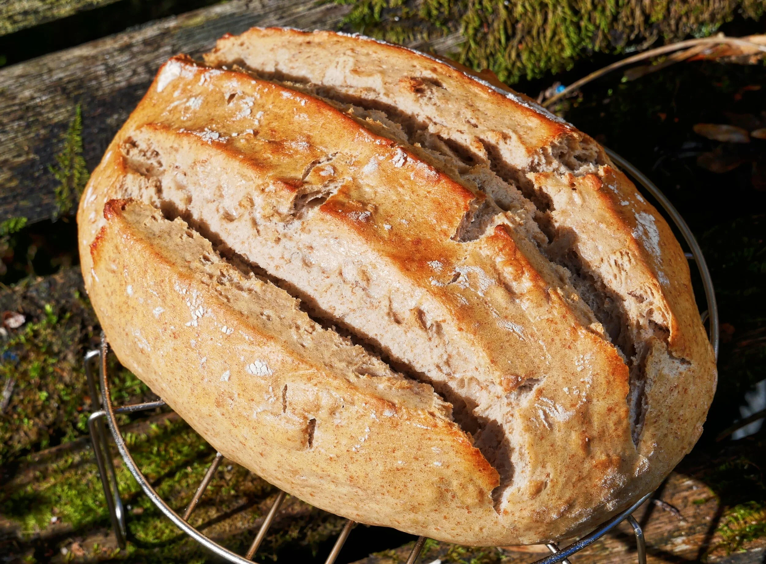 Making Your Own Sourdough - A Lockdown Treat