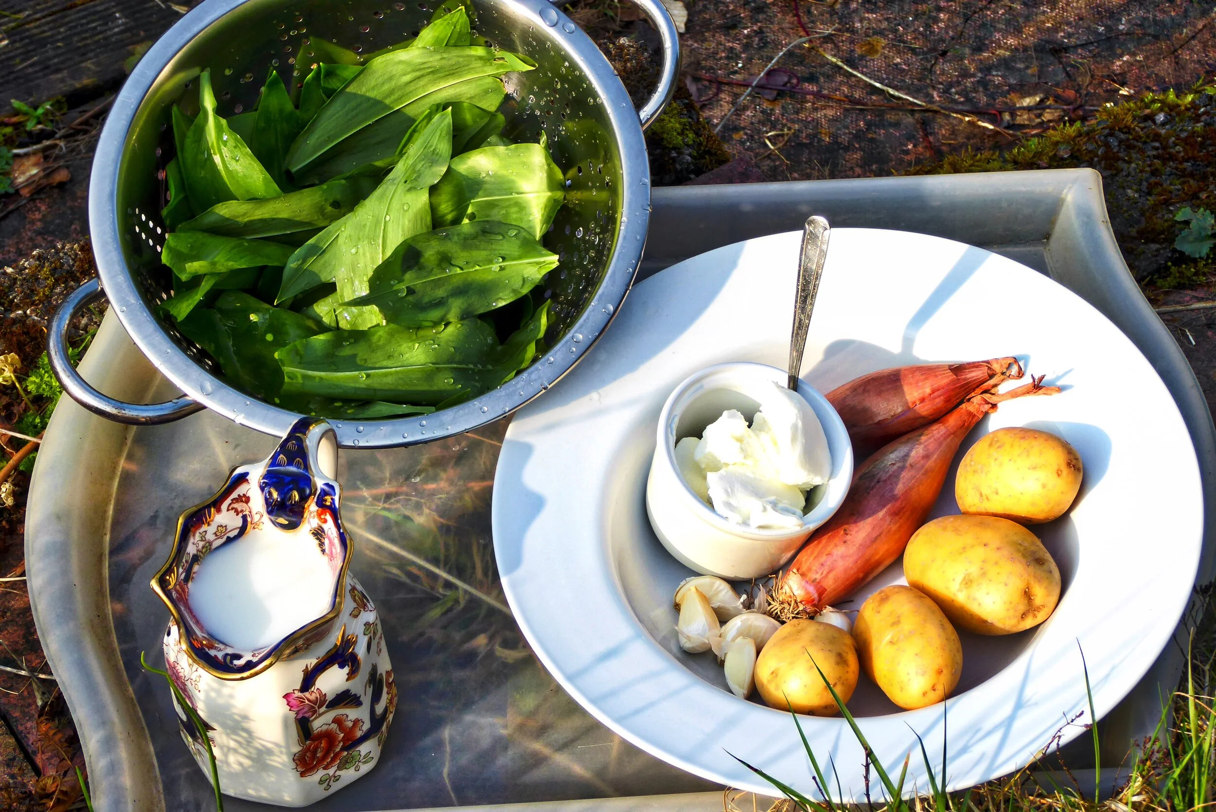 More Wild Garlic - Plus Recipes