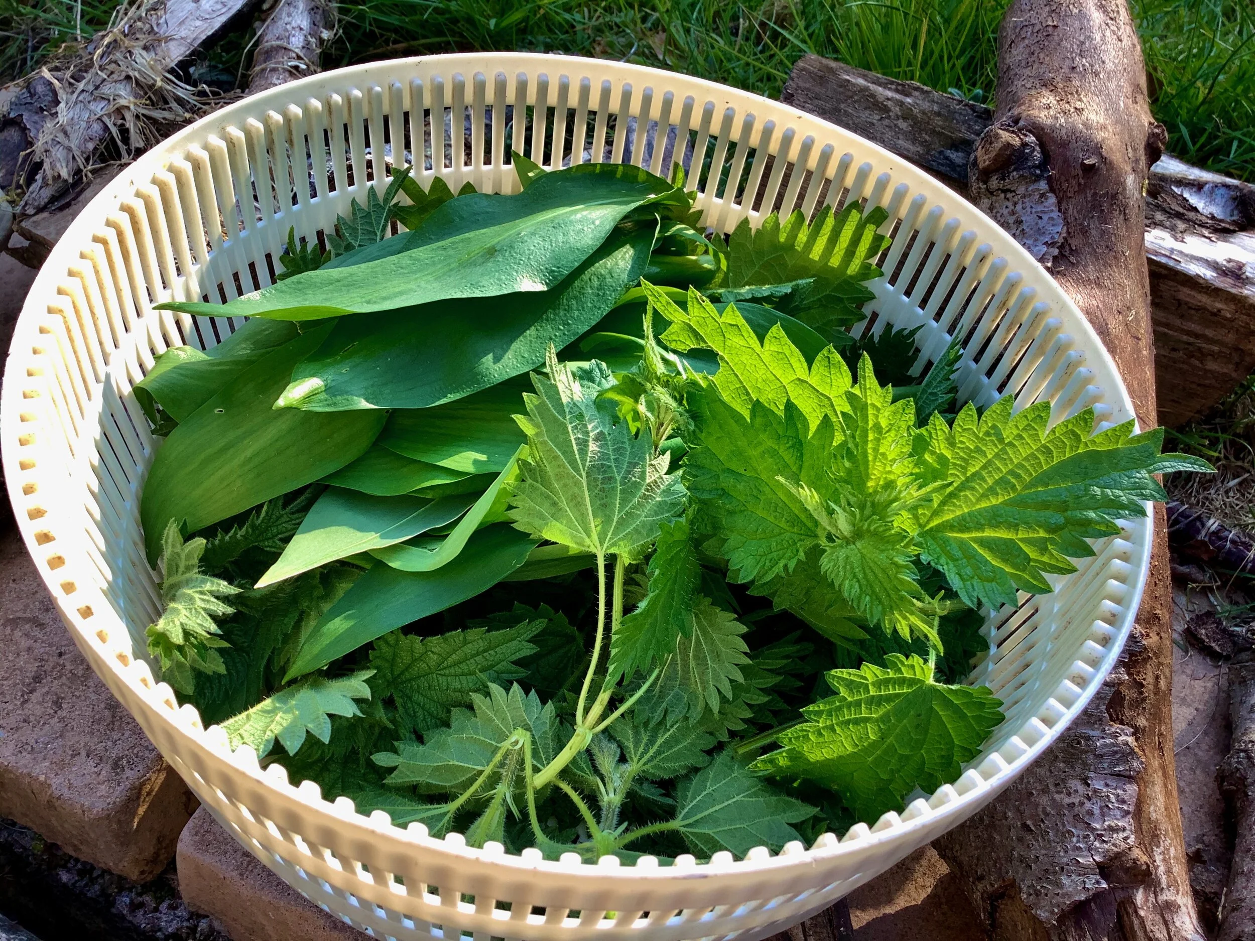 Wild Food - Nettle, Wild Garlic and Pea Risotto