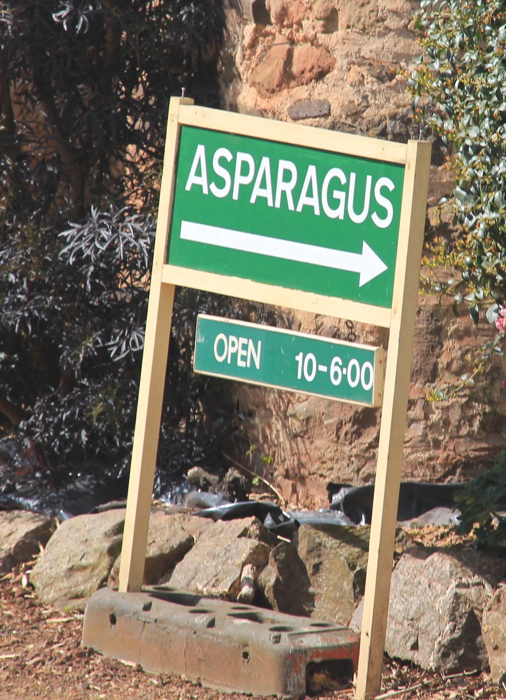 Asparagus