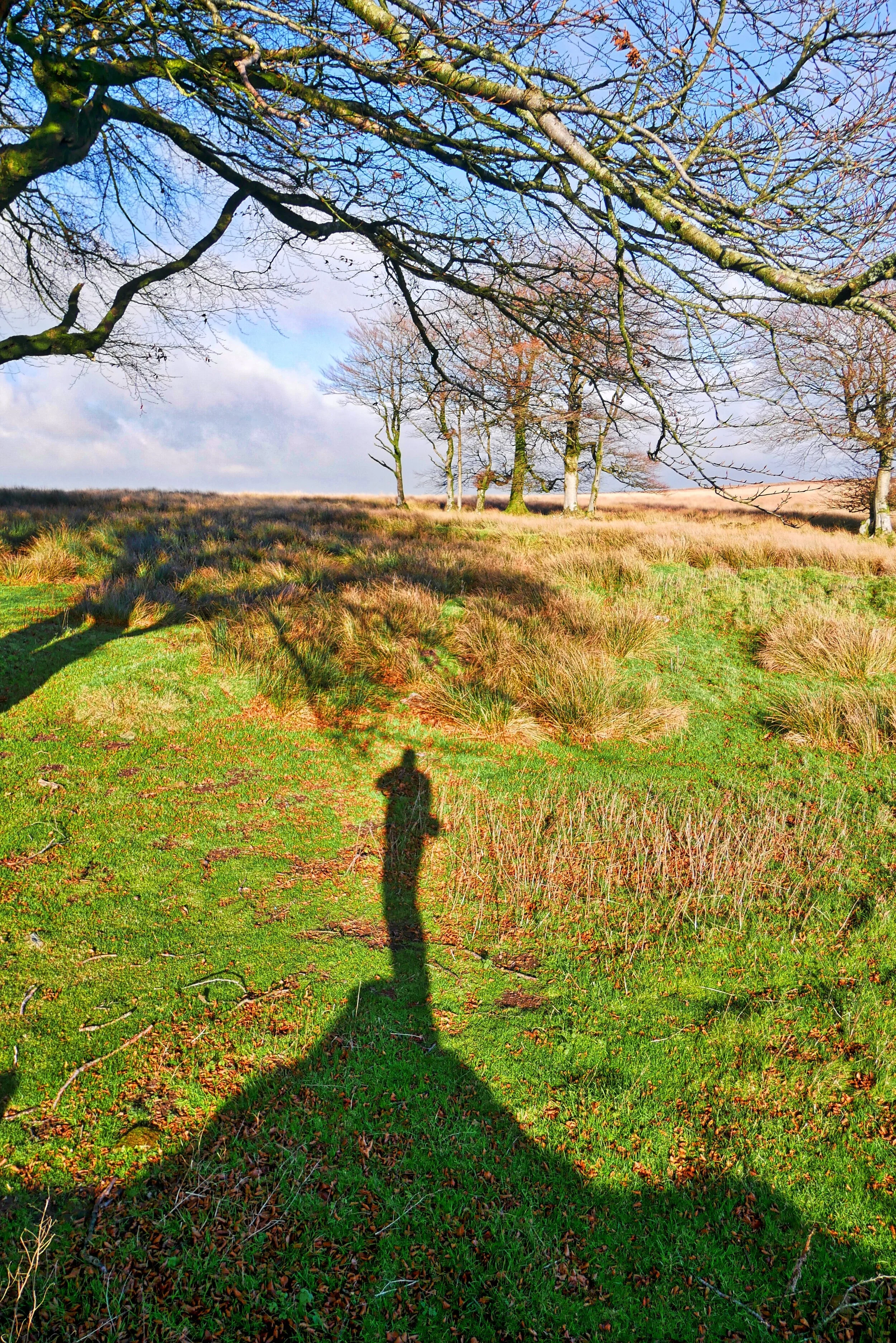 Exmoor Walks: a Place Called Beckham