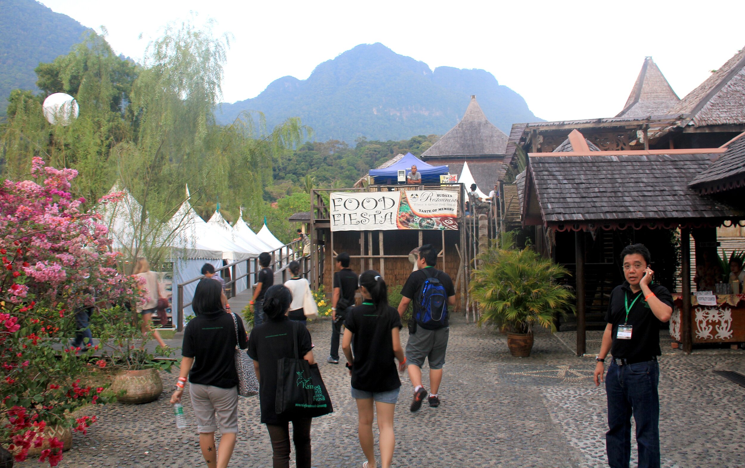 World Music Fest 1.JPG