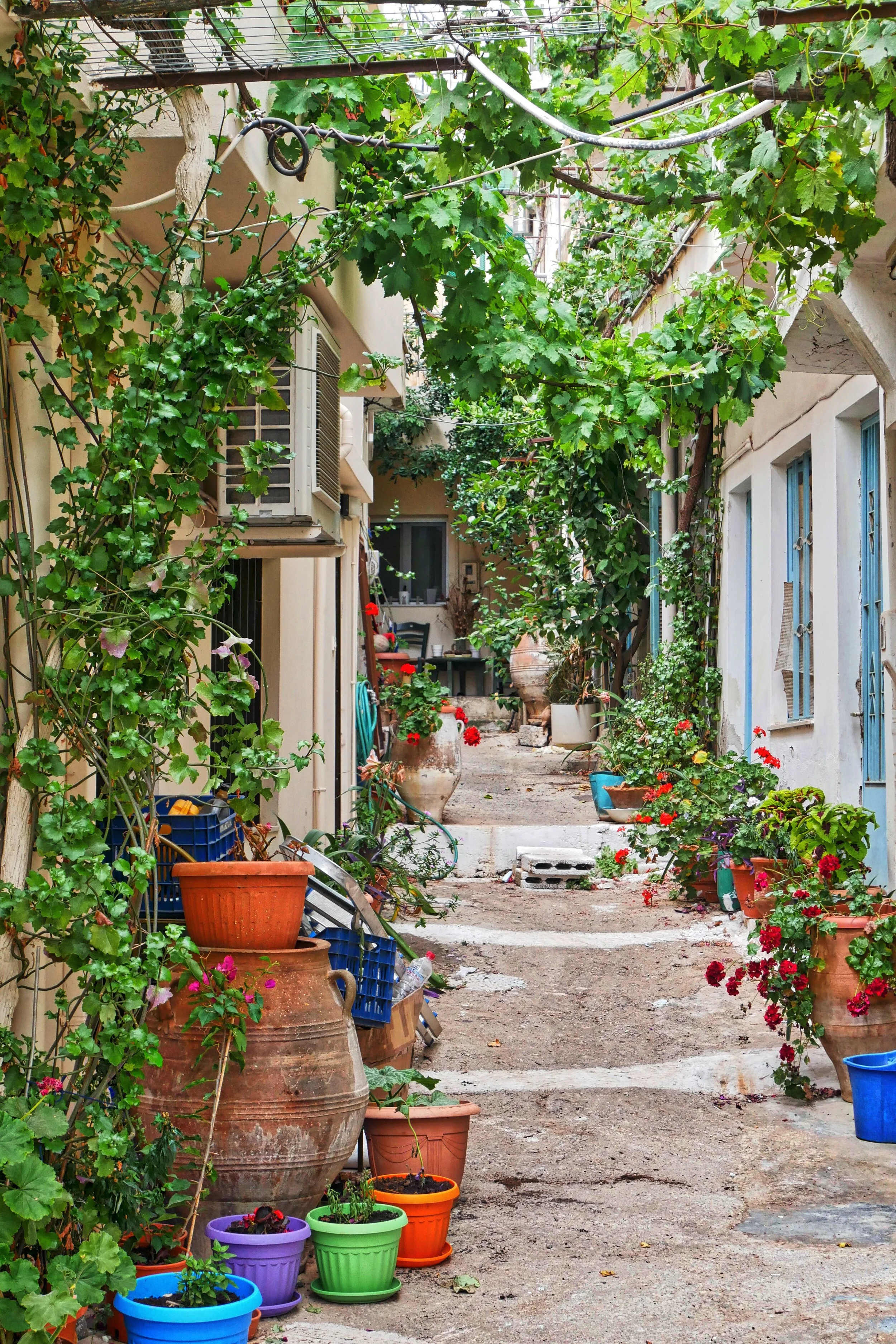 Dreaming of Daios Cove