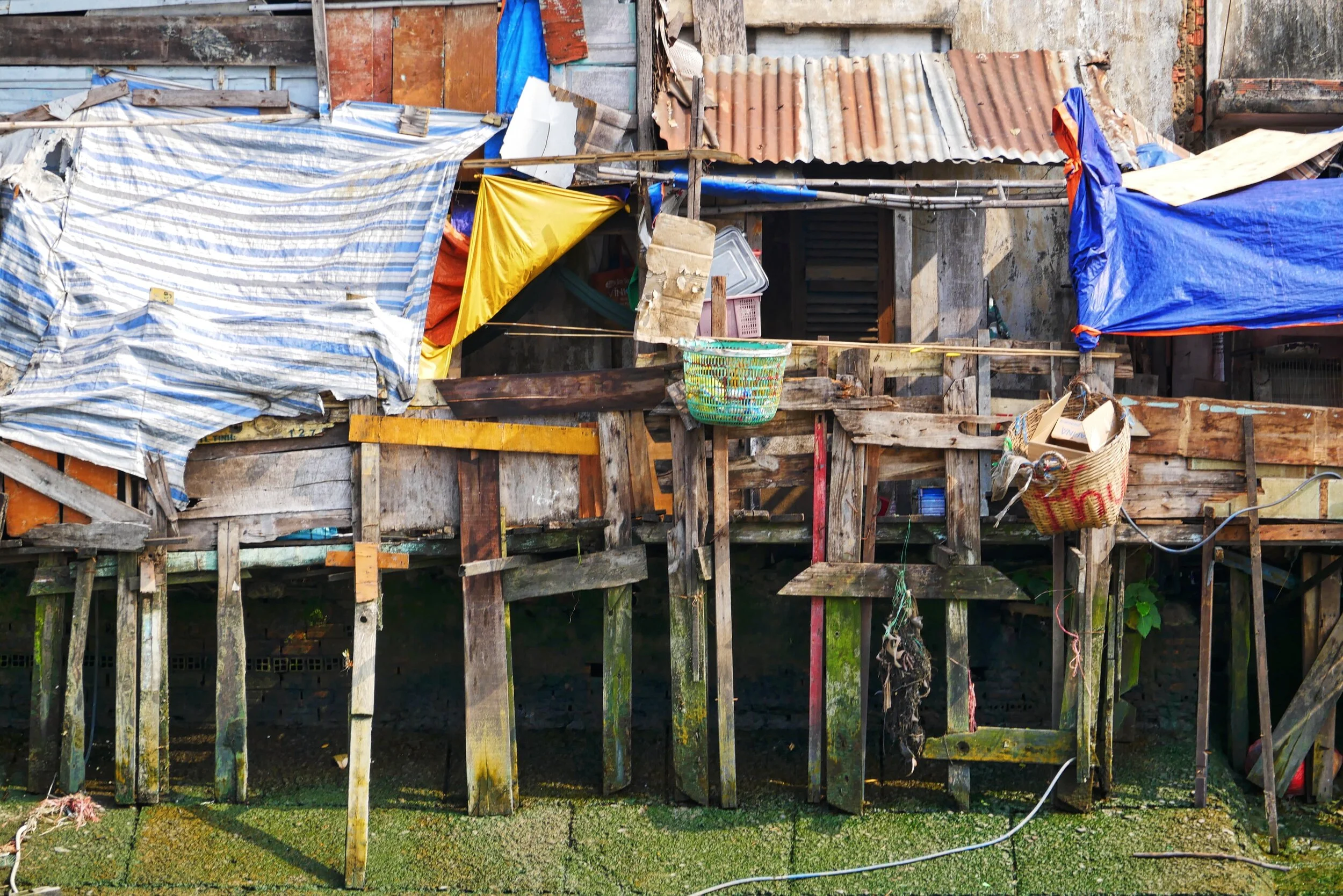 Trip Along the Saigon River