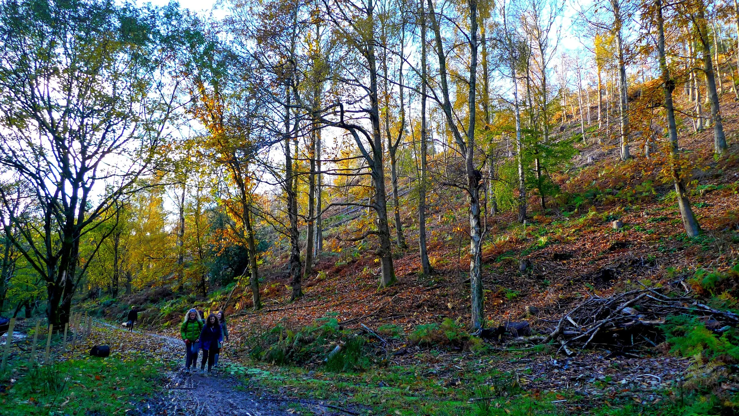 The Quantock Hills: Broomsquire Country