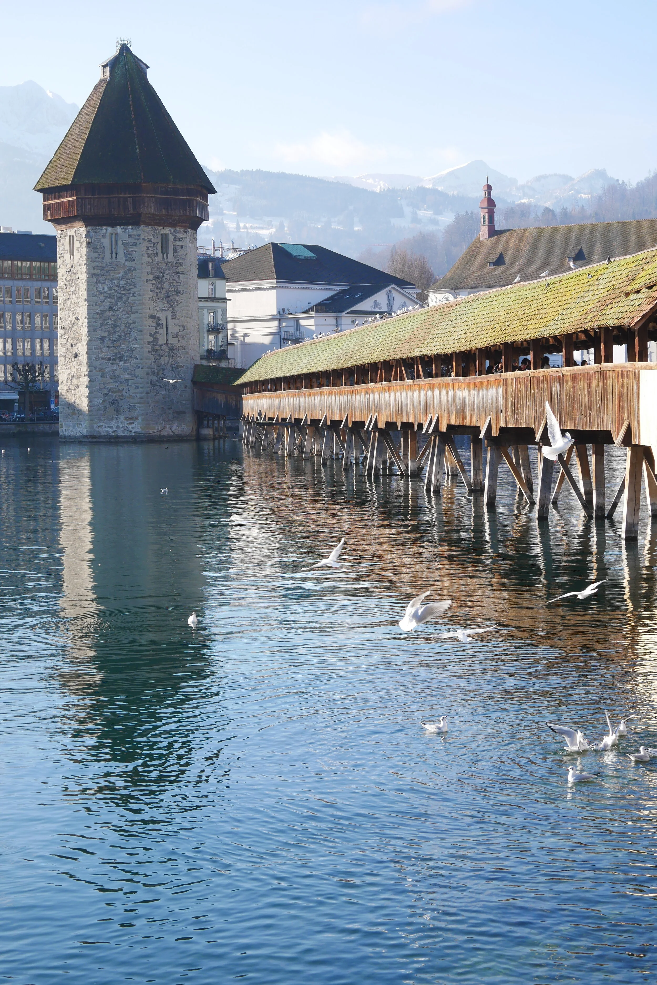 Voyage to Vitznau